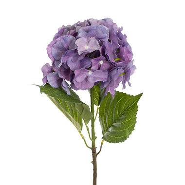Gift AF - Artificial Hydrangeas - Eldorado Hydrangea Stem Violet Purple (18cmDx64cmH)