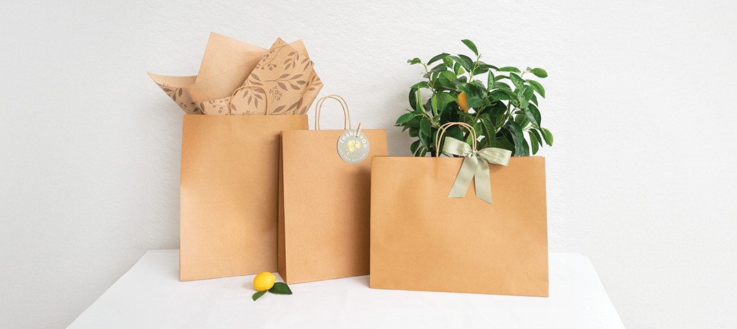 Finding the Perfect Fit: A Size Guide to Koch & Co Premium Kraft Paper Bags