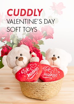 vday teddies