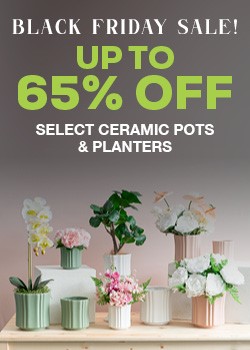 ceramic pots BF