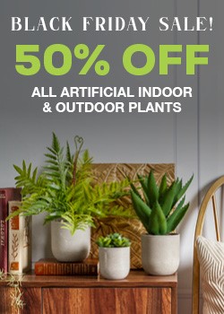 indoor outdoor plants BF