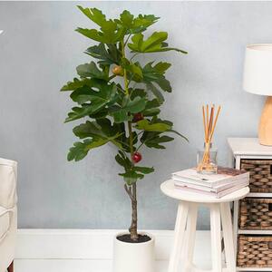 Bring a touch of lush greenery to your space with this Real Touch Fig Tree in Green. Its lifelike leaves and realistic trunk create a striking, natural look, while the sleek white pot adds a modern touch 🌱🪴

Perfect for adding a vibrant, low-maintenance focal point to any room, this fig tree brings effortless elegance to your decor. 

This tree stands 130cm tall, with a pot measuring 18cm in diameter and 17.5cm tall. This product is sold individually.

SKU: 4771079GR
.
.
.
.
.
.
#kochandco #kochinspo #artificialfigtree #artificialtrees #artificialplants #homedecorideas #housestyling