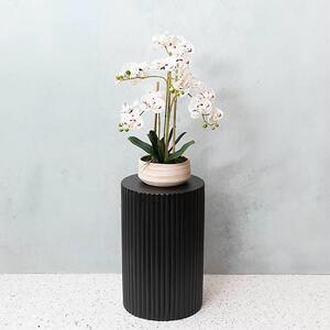 Looking for something different. Our Fibreglass Ripple Plinth Round in Matte Black is a classical-style ribbed plinth reminiscent of ancient Grecian columns. 

Perfect for your Space and/or an Event.
Adapt them for a modernistic aesthetic by topping them with minimalistic vases, floral arrangements, and cakes.

This plinth measures 32cm in diameter, 50cm in height, and can bear a maximum weight of 30kg.

ITEM: 1402058MBK
.
.
#kochandco #kochinspo #plinth #plinths #eventdecor