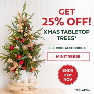 🎄✨ One Week Only: Get 25% OFF our Christmas Tabletop Trees!

The perfect festive touch for your home, office, or business this Christmas! Our Tabletop Christmas Tree Collection has something for every theme — from classic greenery to sparkling, pre-lit trees that shine bright all season long.

🛒 Use code 𝐌𝐈𝐍𝐈𝐓𝐑𝐄𝐄𝟐𝟓 at checkout for 25% OFF for a limited time!

Hurry – this exclusive offer is only available for one week! 

T&Cs Apply.
.
.
.
#KochAndCo #KochChristmas #Christmas #TabletopTree #MiniTree #ChristmasDecor #FestiveVibes #HolidayCheer #Sale #Coupon #ChristmasCoupon