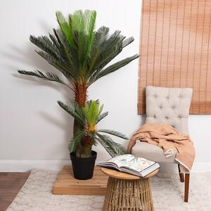 Our Cycad Fern has lush green leaves create relaxed and cosy vibes. 

This plant is ideal to brighten up any space in your home or office. 

You can display as is or place it in a container to match your home decor. 

Our Artificial Plants & Trees are for indoor use but can be displayed outside under cover.

The pot measures 22cm in diameter and 19cm in height. 

Overall measurement 150cm in height.

ITEM: 4731016GR
.
.
#kochandco #kochinspo #cycadfern #artificialplants #homedecorating