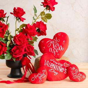 These Velvet Plush Hearts in Red in assorted sizes are soft, plush, and heart-shaped. Use these items as part of a Valentine’s Gift, add it to a romantic floral arrangement, pair with a Valentine’s Day teddy, or use it as a sweet addition to a hamper gift ❤️

SKU: 480918RE, 480940RE, 480941RE, 480917RE
.
.
.
.
.
.
#kochandco #kochinspo #plushhearts #softtoys #valentinesofttoys