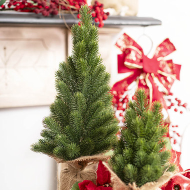 Gift Seasonal - Tabletop Christmas Trees - Spruce Pine Burlap Jute Table Top Tree Green (48cmH)