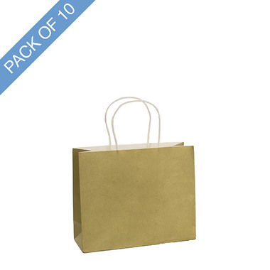 Kraft Paper Carry Bags - Kraft Paper Bag Boutique Medium Gold Pk10 (220Wx80Gx180mmH)