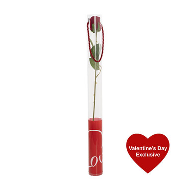 Gift AF - Artificial Roses - Velvet Rose Bud & Acetate Cylinder Love Tube Red (5.5x60cmH)