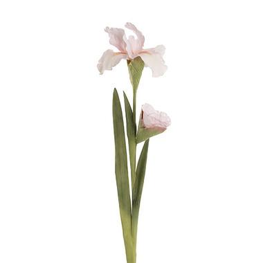 Gift AF - Other Artificial Flowers - Iris Real Touch Stem Soft Cream Pink (78cmH)