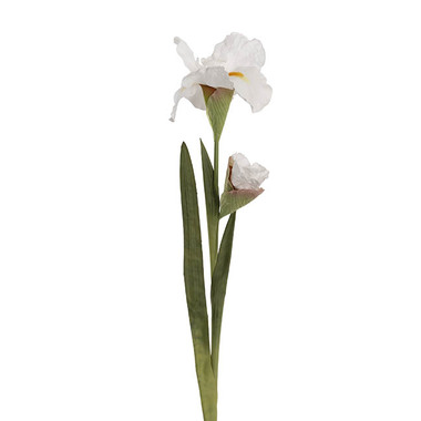 Gift AF - Other Artificial Flowers - Iris Real Touch Stem White (78cmH)