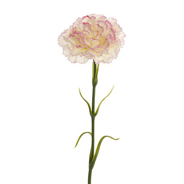 Gift AF - Artificial Carnation - Real Touch Ruffle Carnation Stem Pink Cream (9cmDx52cmH)