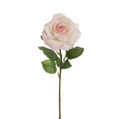 Gift AF - Artificial Roses - Holland Rose Open White Pink (15cmDx67cmH)