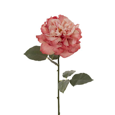 Gift AF - Artificial Roses - Rose Gruss An Aachen Stem Pink (68cmH)