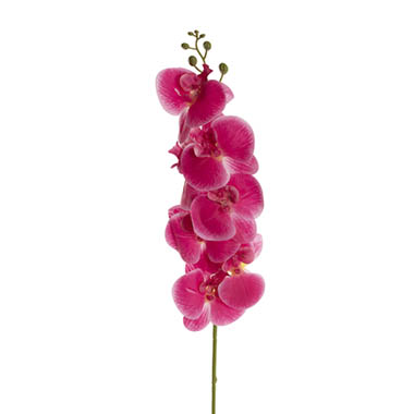 Artificial Orchids - Real Touch Phalaenopsis Orchid Stem x7 Fuchsia (85cmH)