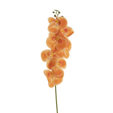 Artificial Orchids - Real Touch Phalaenopsis Orchid Stem x7 Apricot (85cmH)