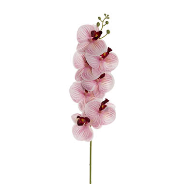 Artificial Orchids - Real Touch Phalaenopsis Orchid Stem x7 Head Wine (85cmH)