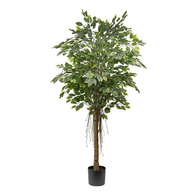 Artificial Indoor Trees - Real Touch Ficus Tree Green (180cmH)