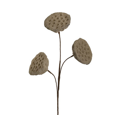 Gift AF - Other Artificial Flowers - Lotus Pod Spray Brown (63cmH)