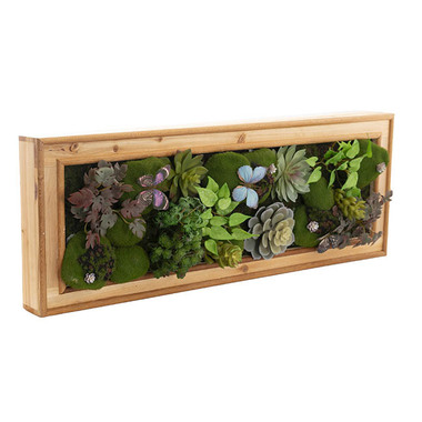 Gift AF - Greenery - Artificial Succulents - Decorative Succulent & Moss Wall Frame (80x30x7cm)