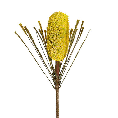 Gift AF - Australian & Native Flowers - Native Real Touch Banksia Stem Soft Yellow (75cmH)