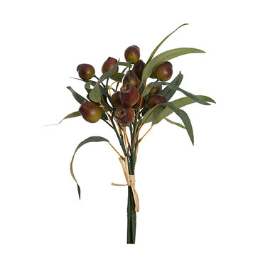 Gift AF - Australian & Native Flowers - Native Eucalyptus Gumnut Bunch Brown (36cmH)