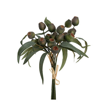 Gift AF - Australian & Native Flowers - Native Eucalyptus Gumnut Bunch Green (36cmH)