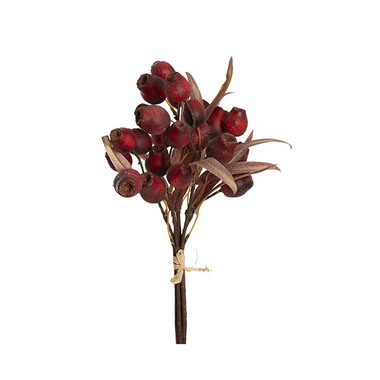 Gift AF - Australian & Native Flowers - Native Gumnut Bunch Dark Red (41cmH)