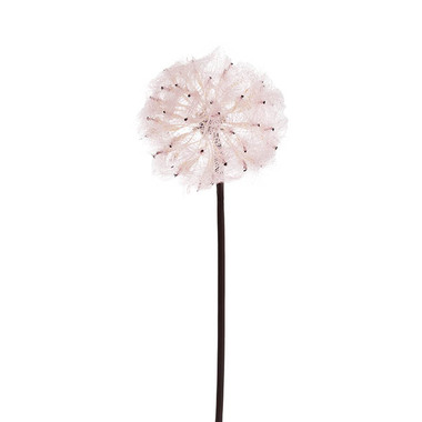 Gift AF - Other Artificial Flowers - Large Dandelion Stem Soft Pink (12cmDx69cmH)