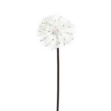 Gift AF - Other Artificial Flowers - Large Dandelion Stem Creamy White (12cmDx69cmH)