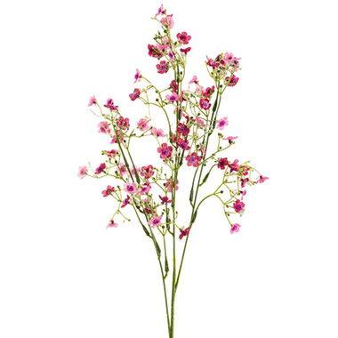 Wholesale gypsophila flower To Decorate Your Environment 