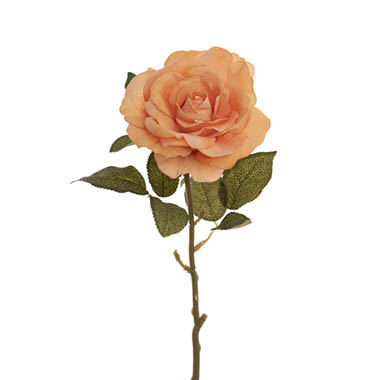 Gift AF - Artificial Roses - Event Velvet Rose Short Stem Apricot (11cmDx35cmH)