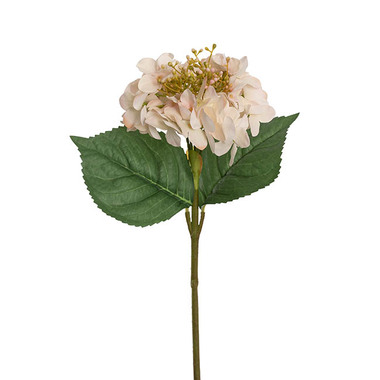 Gift AF - Artificial Hydrangeas - Budding Real Touch Hydrangea Stem Cream Peach (19cmDx70cmH)