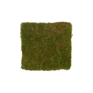 Artificial Moss - Artificial Moss Mat Rocky Square Green (20x20cm)