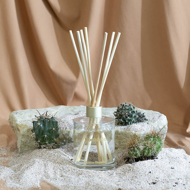 Luxury Diffusers - Premium Fragrance Diffuser Leisure Cactus Blossom 250ml