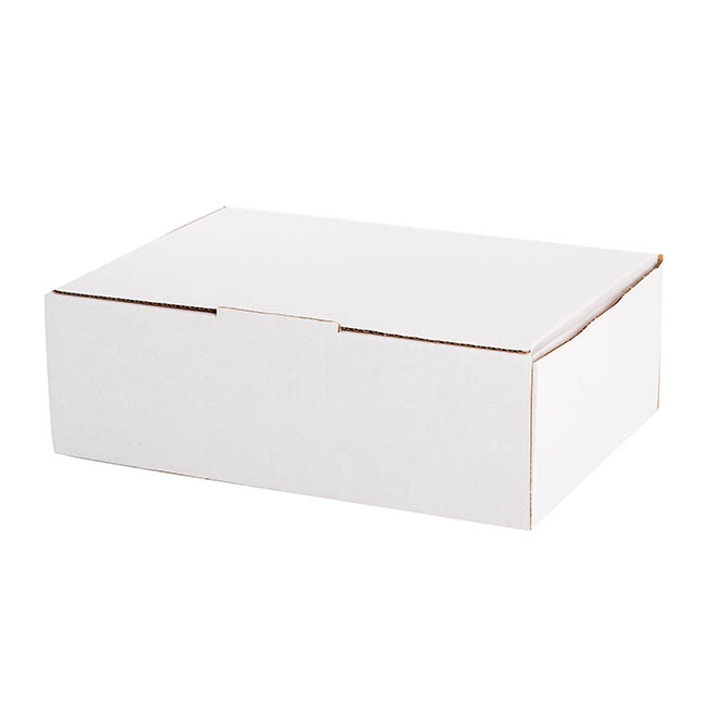 White Mailing Box A3 Large (430Wx305Dx140mmH) Pack 10