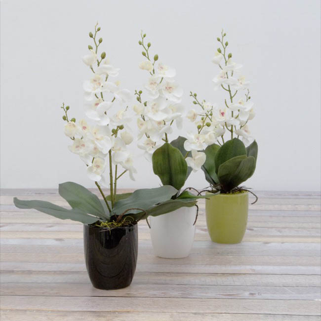 Ceramic Orchid Pot Small White (9.5cmDx11cmH)