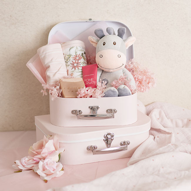 baby pink suitcase