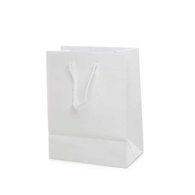 Download Paper Bag Gloss Shopper Small White (200Wx115Gx260mmH)