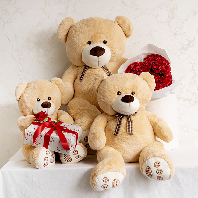 family teddy bear