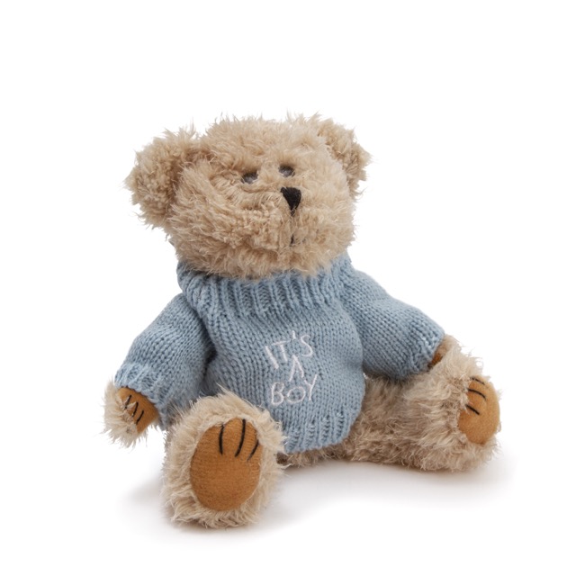 teddy bear with personalised message