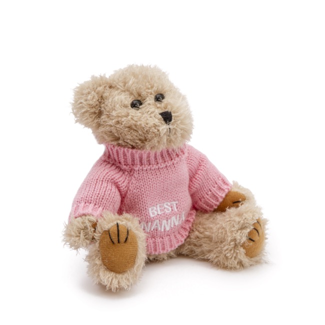 teddy bear with personalised message